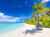人教版八上英语Unit1 Where did you go on vacation Section A 1a-2d课件+素材