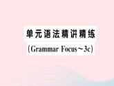 2023七年级英语下册Unit5Whydoyoulikepandas单元语法精讲精练GrammarFocus_3c作业课件新版人教新目标版