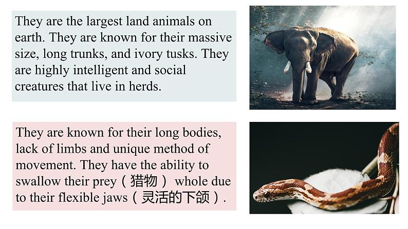 Module 6 Unit 1 （课件+素材） 2023-2024学年外研版英语八年级上册04