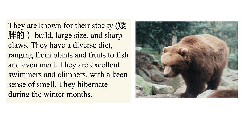 Module 6 Unit 1 （课件+素材） 2023-2024学年外研版英语八年级上册05