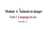 Module 6 Unit 3 （课件+素材） 2023-2024学年外研版英语八年级上册