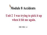 Module 8 Unit 2 （课件+素材） 2023-2024学年外研版英语八年级上册