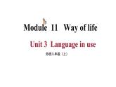 Module 11 Unit 3  （课件+素材） 2023-2024学年外研版英语八年级上册