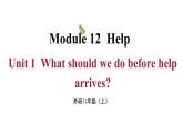 Module 12 Unit 1 （課件+素材） 2023-2024學年外研版英語八年級上冊