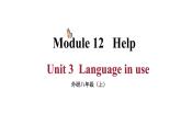 Module 12 Unit 3 （课件+素材） 2023-2024学年外研版英语八年级上册