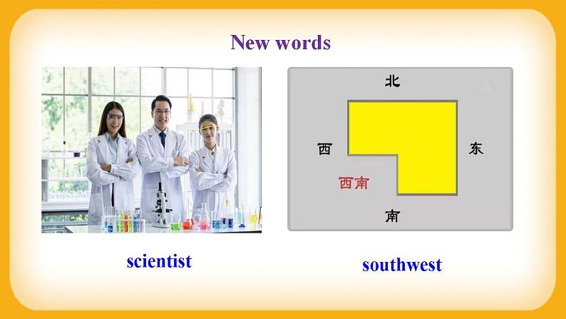 外研版英语八上Module6 Unit2  The WWF is working hard to save them all 课件第5页