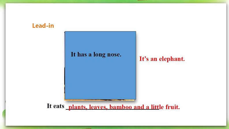 外研版英语7上Module6 Unit 1 Does it eat meat课件+教案+导学案07