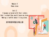 Module 4  Unit 2 教学课件 外研版英语九年级上册