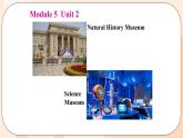 Module 5  Unit 2 教学课件 外研版英语九年级上册