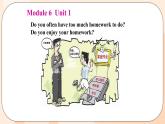 Module 6  Unit 1 教学课件 外研版英语九年级上册