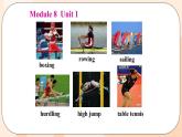 Module 8  Unit 1 教学课件 外研版英语九年级上册
