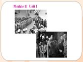 Module 11 Unit 1 教学课件 外研版英语九年级上册