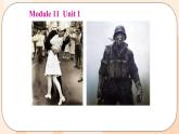 Module 11 Unit 1 教學(xué)課件 外研版英語(yǔ)九年級(jí)上冊(cè)