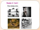 Module 11 Unit 2 教學(xué)課件 外研版英語(yǔ)九年級(jí)上冊(cè)