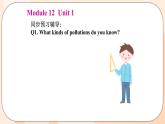 Module 12 Unit 1 教学课件 外研版英语九年级上册