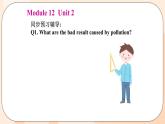 Module 12 Unit 2 教学课件 外研版英语九年级上册