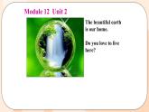 Module 12 Unit 2 教学课件 外研版英语九年级上册