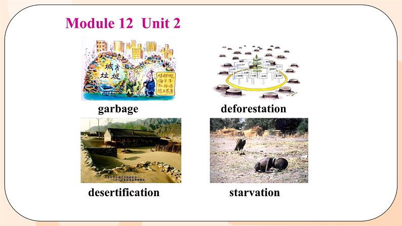 Module 12 Unit 2 教学课件 外研版英语九年级上册06