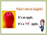 Starter Module3  Unit 3 What colour is it 課件+教案+練習(xí)