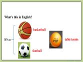 Start Module 4 Unit 3 What's your favorite sport （课件+教案+练习）