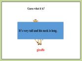 Module 6 Unit 1 Does it eat meat？ （课件+教案+练习）