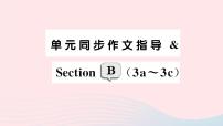 人教新目标 (Go for it) 版七年级下册Section B作业课件ppt