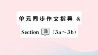 初中英语人教新目标 (Go for it) 版七年级下册Section B作业课件ppt