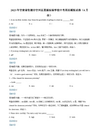 2023年甘肃省张掖市甘州区思源实验学校中考模拟英语试题（解析版）