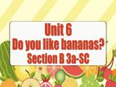 Unit 6 第5课时 (Section B 3a-SC)  课件-人教版英语七年级上册