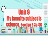 Unit 9 第5课时 (Section B 3a-SC)  课件-人教版英语七年级上册