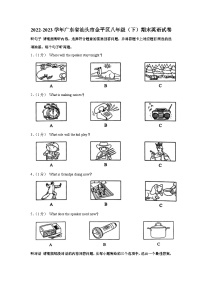 广东省汕头市金平区2022-2023学年八年级下学期6月期末英语试题（含答案）