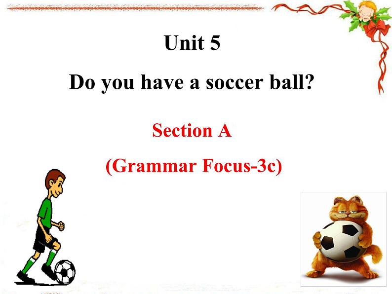 《Unit 5 Do you have a soccer ball Section A Grammar focus-3c》教学课件1-七年级上册新目标英语【人教版】第2页