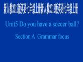 《Unit 5 Do you have a soccer ball Section A Grammar focus 3a-3c》PPT课件1-七年级上册新目标英语【人教版】