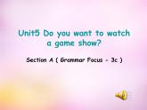 《Unit 5 Do you want to watch a game show》优质课件5-八年级上册新目标英语【人教版】