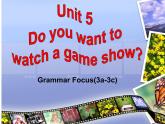 《Unit 5 Do you want to watch a game show》优质课件1-八年级上册新目标英语【人教版】