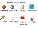 《Unit 5 Do you have a soccer ball Section A Grammar focus 3a-3c》课件-七年级上册新目标英语【人教版】