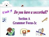 《Unit 5 Do you have a soccerball Section A Grammar focus 3a-3c》PPT课件2-七年级上册新目标英语【人教版】