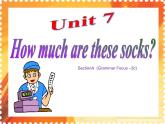 《Unit 7 How much are these socks Section A Grammar focus 3a-3c》PPT课件3-七年级上册新目标英语【人教版】
