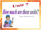 《Unit 7 How much are these socks Section A Grammar focus 3a-3c》PPT课件3-七年级上册新目标英语【人教版】