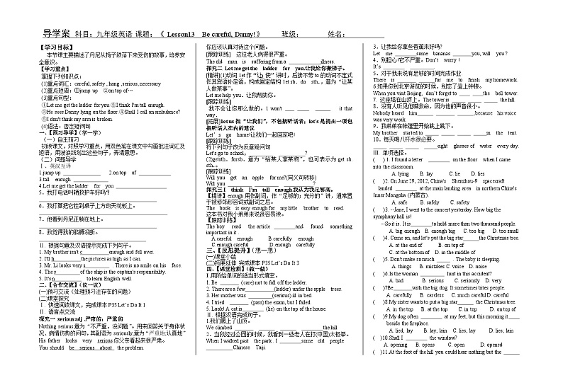 冀教版 初中英语 九年级上册   Unit 3 Lesson 13 Be Careful, Danny! 导学案（无答案）01