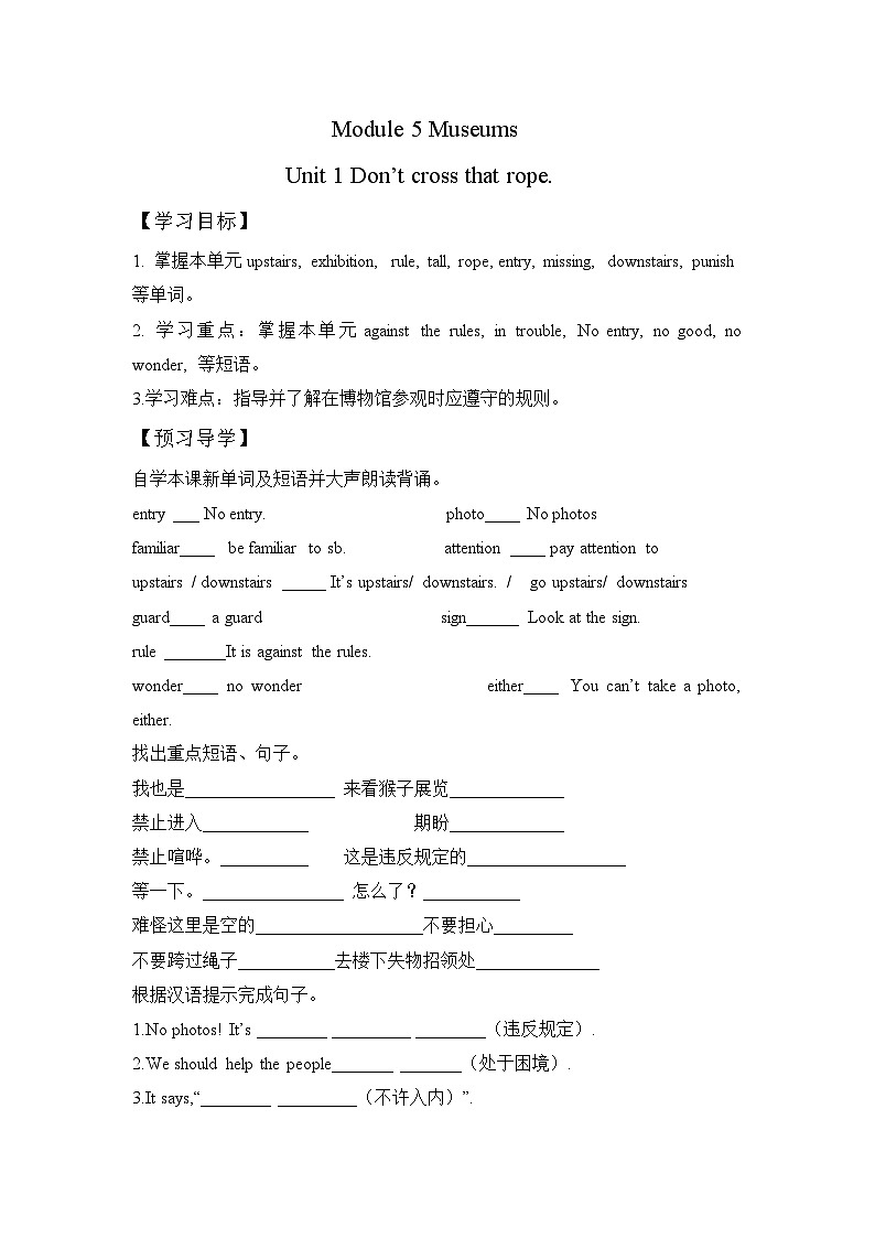 外研版 初中英语 九年级上册  Module 5 Unit1 Don't cross that rope! 导学案（无答案）01