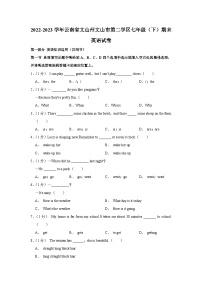 云南省文山州文山市第二学区2022-2023学年七年级下学期期末英语试卷