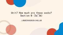 人教新目标 (Go for it) 版七年级上册Unit 7 How much are these socks?Section B评优课ppt课件