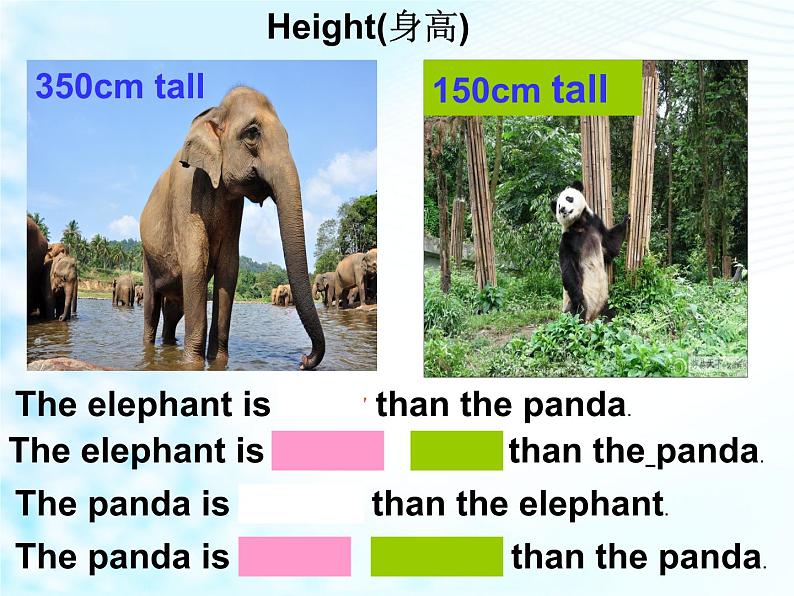 《Unit 7 What’s the highest mountain in the world Section B 1a-1d》教学课件7-八年级下册新目标英语【人教版】05