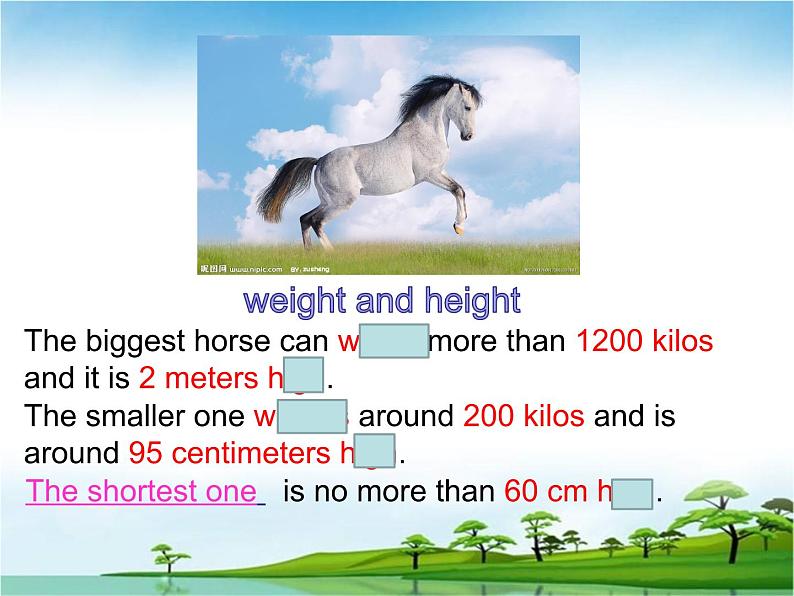 《Unit 7 What’s the highest mountain in the world Section B 1a-1d》PPT课件6-八年级下册新目标英语【人教版】第4页