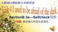 人教新目标 (Go for it) 版九年级全册Section B图片课件ppt