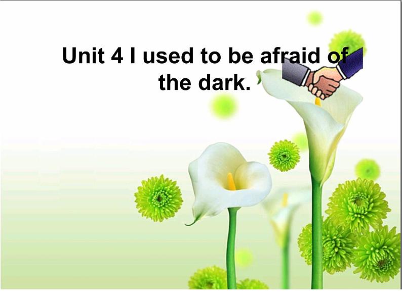 《Unit 4 I used to be afraid of the dark Section B 3a-3b Self check》PPT课件15-九年级全一册英语【人教新目标版】第1页