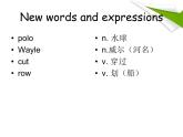 NCE2_Lesson30（共46页）课件PPT
