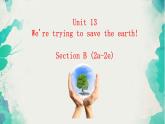《Unit 13 We’re trying to save the earth Section B 1a-1e》教学课件6-九年级全一册英语【人教新目标版】