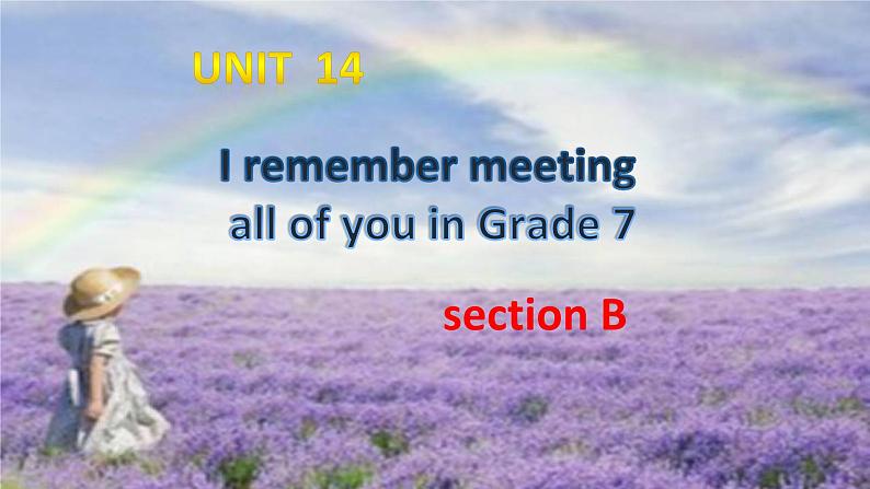 《Unit 14 I remember meeting all of you in Grade 7 Section B 1a-1e》PPT课件7-九年级全一册英语【人教新目标版】02